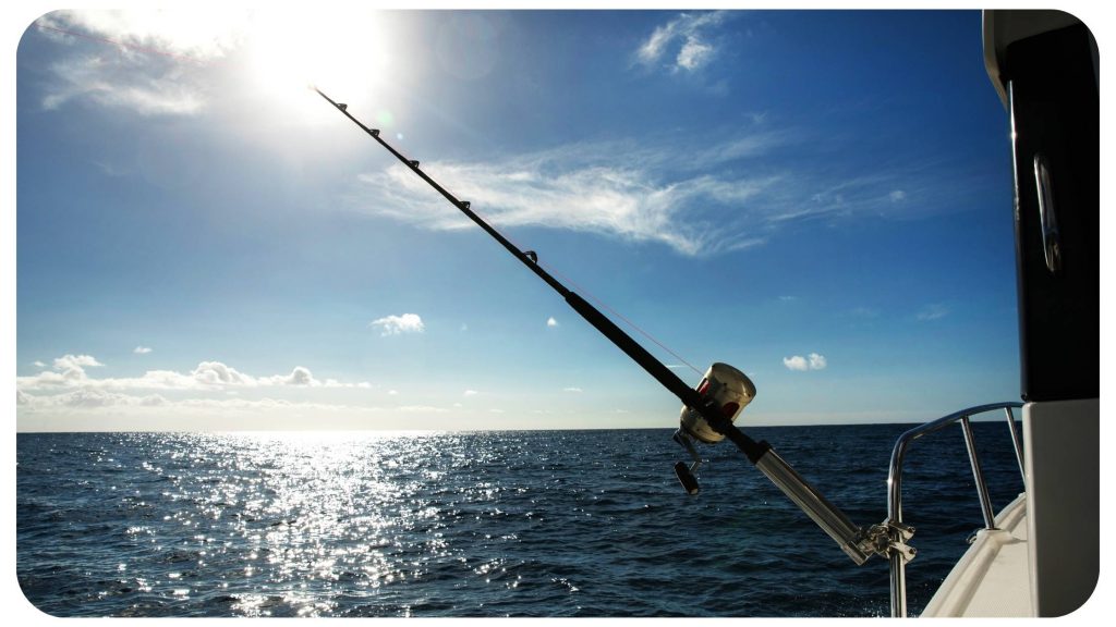 sailing yacht fishing